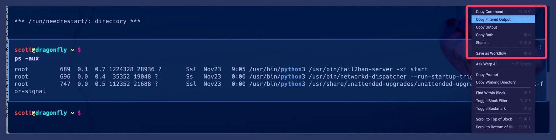 Saving the filtered output of a Block