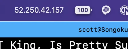 The IP address in my menu bar